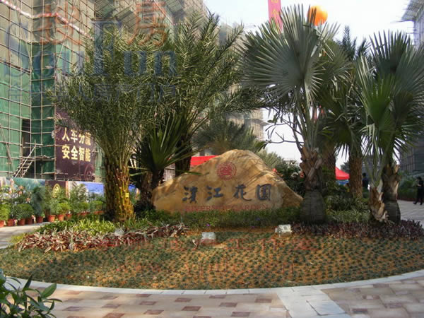 滨江花园
